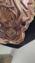Load and play video in Gallery viewer, Tiger Eye Tiger Face
